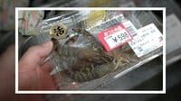 スーパーで買った“おつとめ品の車エビ”に訪れた驚きの末路
