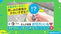 「おやつ貰えないの?」 立ち尽くすプレーリードッグが可愛すぎる