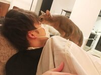 あいのり・桃、彼氏と愛猫の写真を比較「口が似てるのかな…」