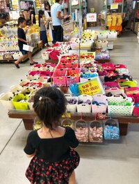 川島菜月『日本一のだかし売り場』