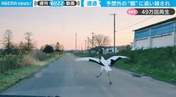 新しい“あおり運転”ですか？ 斬新な割り込みにドライバー驚き 犯人にもう一度ビックリ