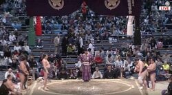 大相撲、向正面に“大物落語家”の飾らない姿 「一瞬一般人」「師匠」「ずっと右端に」ファンざわつく