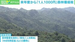 森林環境税に「復興税の“すり替え”と思われても仕方ない」の声 2024年度から“1人1000円”住民税に上乗せ