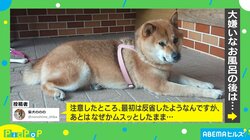 来年もよろしくワン！ 2021年に話題を集めた犬のかわいすぎる投稿5選