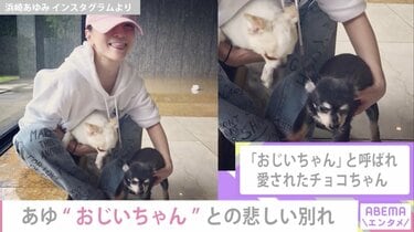 浜崎あゆみ■レア■ayupan■チョコ■愛犬■【在庫ラスト】【匿名発送】 img_12b1bf63203452f04a96f67bb3