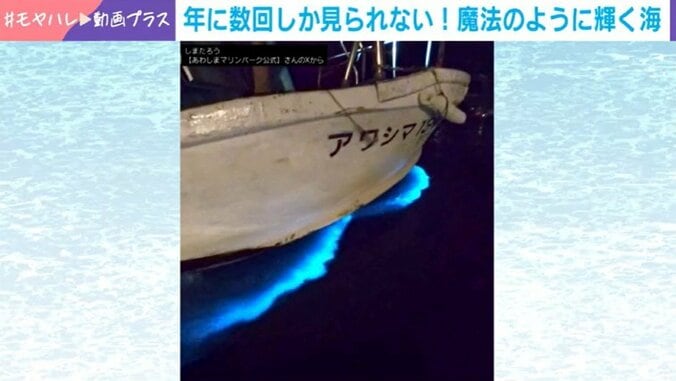 魔法にかかったような海