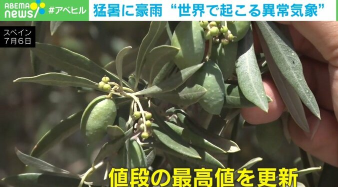いま、地球で何が起きているのだろうか？ 猛暑に豪雨… 世界各地で異常気象による深刻な被害が続出 2枚目