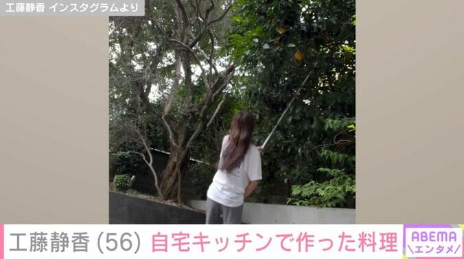 工藤静香の自宅の庭