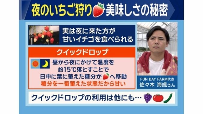 夜のイチゴがおいしい理由