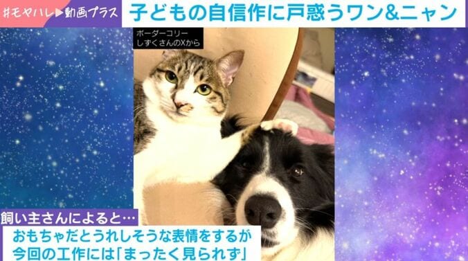 しずくちゃんとバロンくん
