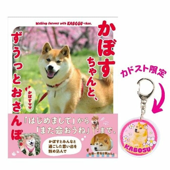 ネットミーム“Doge”のモデル柴犬「かぼすちゃん」 生涯を振り返る写真集が3月14日発売へ 5枚目