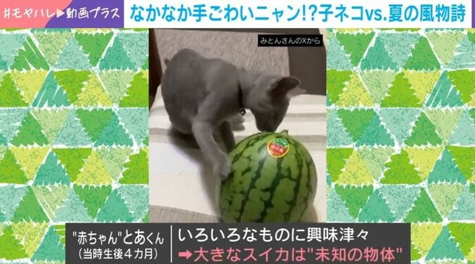 とあくん