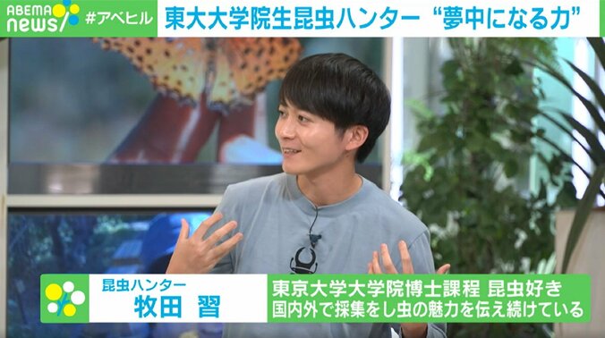 東大院生の昆虫ハンター「家族はむしろ虫嫌い」 子どもの“夢中になる力”を伸ばすには 8枚目