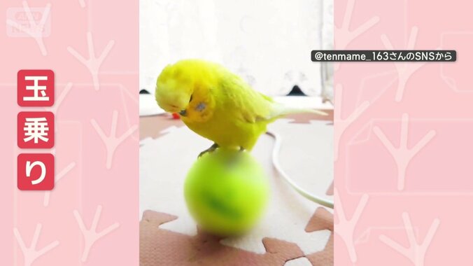 別の日も…
