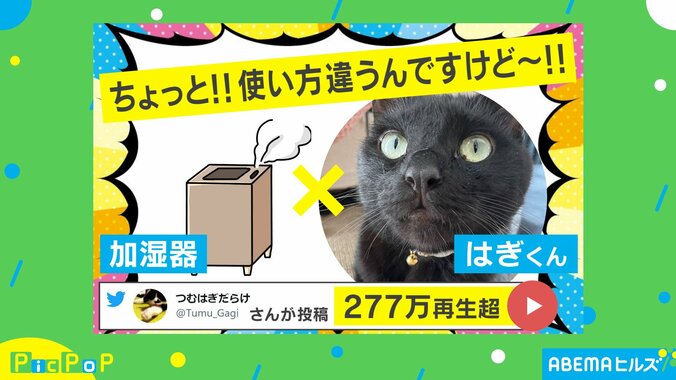 “じょうき”を逸した加湿器の新しい使い方に「サ、サウニャ!?」驚きの声 1枚目