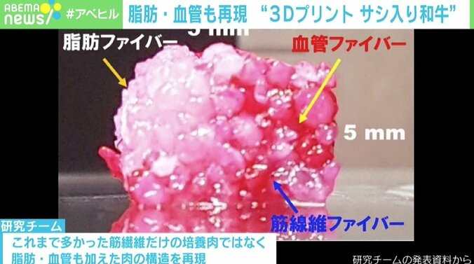 “サシ入り和牛”を3Dプリントで構築する世界初の試み ゆくゆくは医療への応用を 大阪大・松崎教授 2枚目