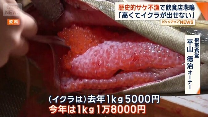 イクラの入荷停止