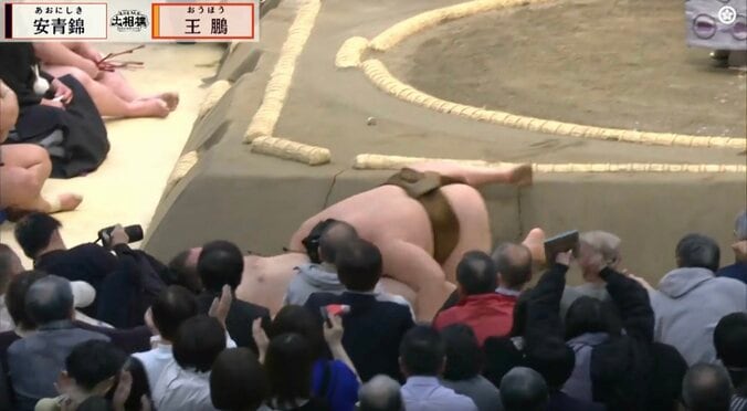【写真・画像】え？勝ったはずが…大相撲三月場所でまさかの“反則負け” 欧勝馬は呆然「まだ掴んでいたと捉えられたんでしょうね」　1枚目
