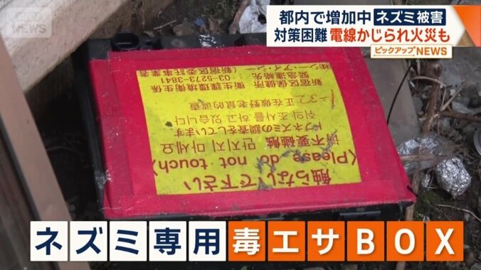 ネズミ専用の毒エサBOX