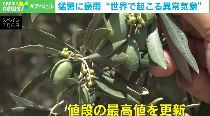 いま、地球で何が起きているのだろうか? 猛暑に豪雨… 世界各地で異常気象による深刻な被害が続出