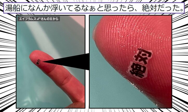 “黒い物体”の正体