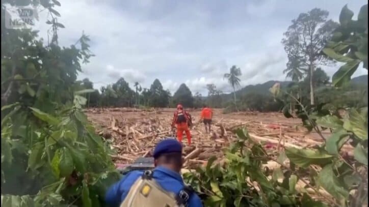 一面に広がる洪水の爪痕