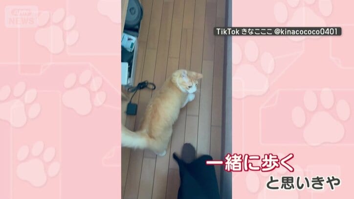 一緒に歩くと思いきや…