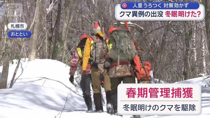 「春期管理捕獲」