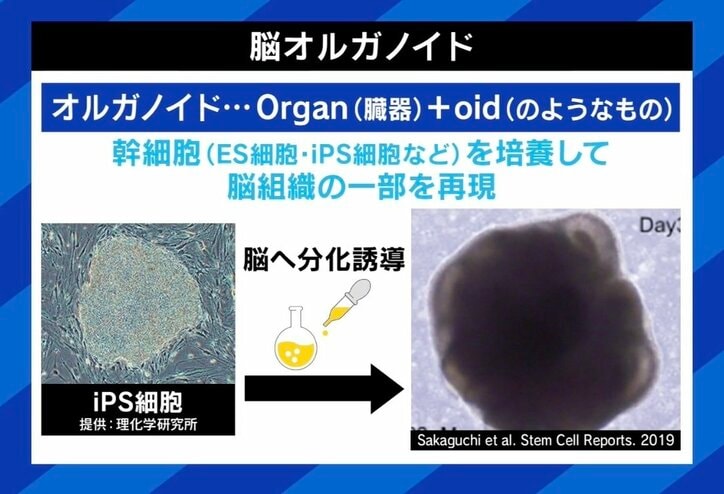 【写真・画像】 2枚目