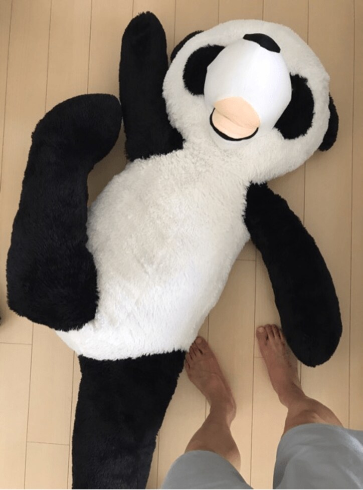 金爆・樽美酒『パートナー解消』宣言にファン騒然「新しいパートナー今夜楽しみ」