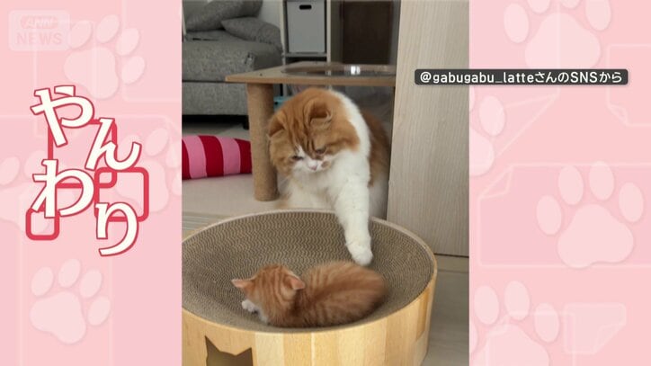 やんわりタッチ