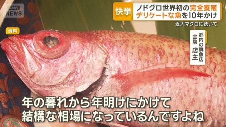 「すごくここのところ高い」