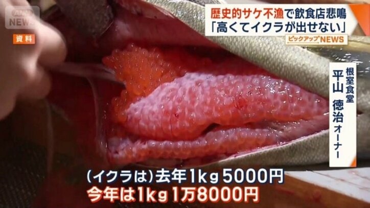イクラの入荷停止