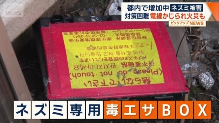 ネズミ専用の毒エサBOX