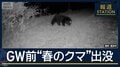 “人間由来の食べ物”学習し執着か…GW前に“春のクマ”出没相次ぐ