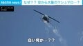 「最高だった。一生に一度の体験だね」空からマシュマロが降ってくる!? 毎年恒例イベントに子どもたちも大興奮 米