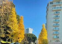 市川海老蔵『今年初馬券』