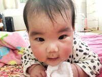 たんぽぽ白鳥久美子『モーニングルーティン』