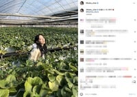 宮脇咲良のいちご狩りショットにファン悶絶「なんだ、この美女は」「かわいさ盛れて眼福の一言」