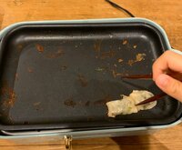 中澤裕子『たべないの？』