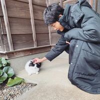 『最愛』松下洸平＆にゃんこの“ほのぼの2ショット”にメロメロになるファン続々！「優しさがこぼれてる」「猫になりたい」