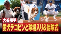 【映像】愛犬デコピン、大谷へ“ストライク送球”の瞬間