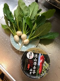 野田聖子『セルフメイド』