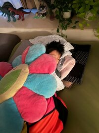 市川海老蔵『おはよ おやすみ』