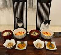 藤あや子『昨日の晩ごはん』