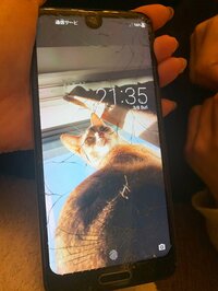 桃『彼が私のために…！！（？）』