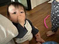 桃『じーが顔に怪我』