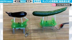 「天才の発想」 ご先祖様がアッという間に帰ってきそう！ ユニークすぎる“爆速精霊馬”がネット上で話題に