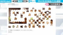 「ログインできない」難解すぎる“パズル認証”が話題　完成後も高セキュリティな“表示”に阻まれる事態に呆然