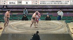 国技館に“超熱狂的”ファン登場 推し力士に衝撃の“絶叫”声援 75キロ差対決に激勝で喜び爆発